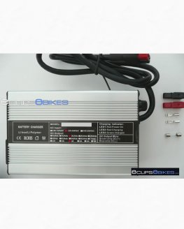 24V (28.8V Output) 4A LifePO4 Battery Charger