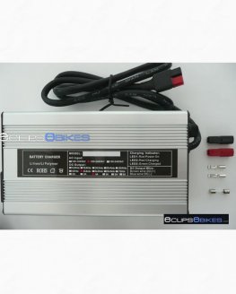 36V (43.2V Output) 4A LifePO4 Battery Charger